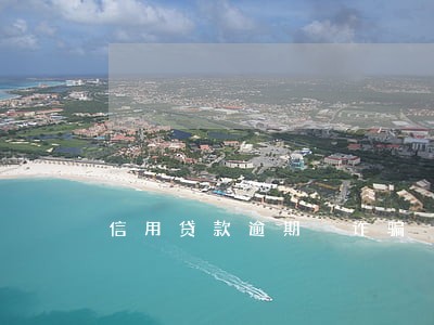 信用贷款逾期 诈骗